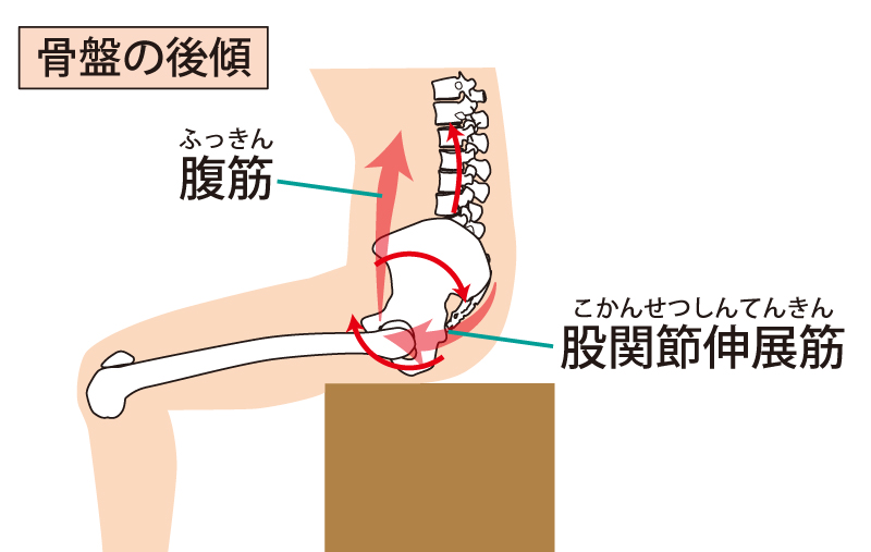 あなたも 首がギシギシ鳴る ということでお困りではないですか 兵庫県川西市大和団地の齋藤鍼灸整骨院です 腰痛 腰部脊柱管狭窄症 肩こり 自律神経の異常を整体 はりきゅう施術で根本治癒に導きます